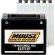 Batería Moose Racing YTX14-BS.