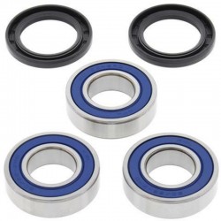 Kit Reparación Rueda Trasera All Balls Suzuki Rm 250 00-08.