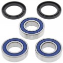 Kit Reparación Rueda Trasera All Balls Suzuki Rm 250 00-08.