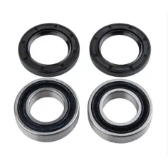 Kit Reparación Rueda Trasera Aleser Ktm Sx/Exc 125-500 23-26/Husqvarna Te/Fe 125-501 23-26/Gas Gas Mc/Ec 125-500 24-26.