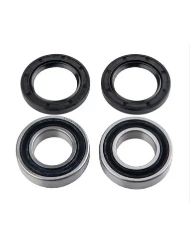 Kit Reparación Rueda Trasera Aleser Premium Ktm Sx/Exc 03-23/Husqvarna Te/Fe 14-23/Husaberg Te/Fe 09-14/Gas Gas Ec/Mc 21-23.