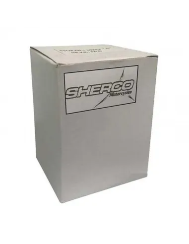 Pistón Original 2 Segmentos Sherco Se 250 14-16.