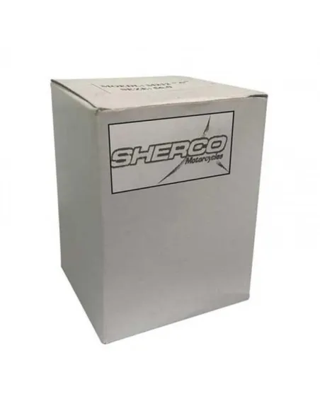 Pistón Original 2 Segmentos Sherco Se 250 14-16.