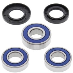 Kit Reparación Rueda Trasera All Balls Gas Gas Ec 125-300 99-02.