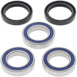 Kit Reparación Rueda Trasera All Balls Yamaha Yzf 450 09-20.