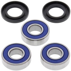 Kit Reparación Rueda Trasera All Balls Kawasaki Kx 85 01-25.