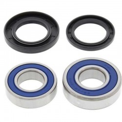 Kit Reparación Rueda Trasera All Balls Yamaha Wrf 450 03-18.