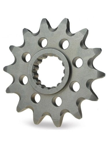 Piñón de Salida Moto Master Tm En 250/300 04-24.