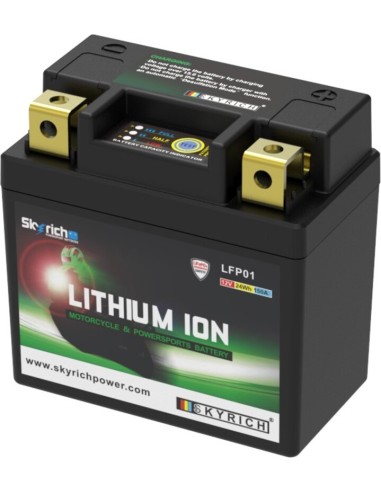 Batería de Litio Skyrich LFP01.