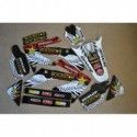 KIT COMPLETO ADHESIVOS ROCKSTAR CRF250/04-09