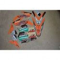 KIT COMPLETO ADHESIVOS FLU DESIGNS SX/XC11-12 EXC2012