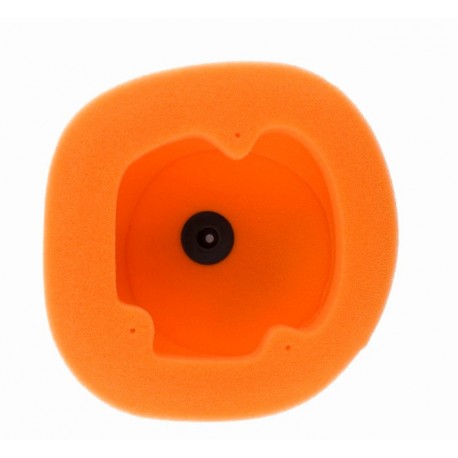 Filtro de Aire Twin Air Beta RR 2T/4T 13-19.