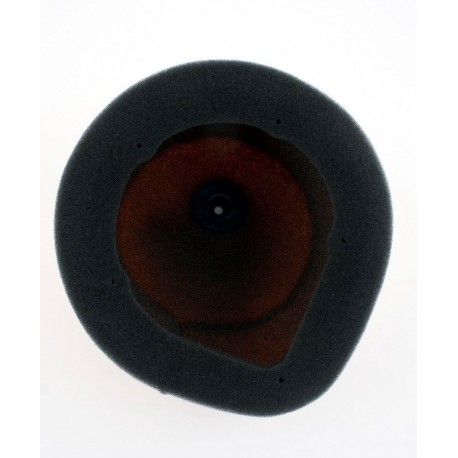 Filtro de Aire Twin Air Gas Gas Ec 250 f 10-11.