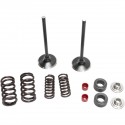 Kit Válvulas Admisión Moose Racing Honda Crf 250 r 16-17.