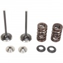 Kit Válvulas Admisión Moose Racing Suzuki Rmz 250 07-17.