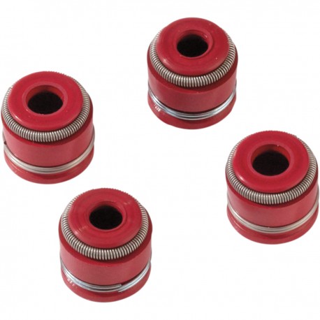 Kit Retenes Guías de Válvulas Moose Racing Honda Crf 250 r 04-07.