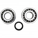 Kit Rodamientos y Retenes Cigueñal Prox Kawasaki Kxf 250 04-17.