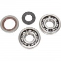 Kit Rodamientos y Retenes Cigueñal Prox Ktm Sx 65 09-17.