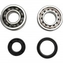 Kit Rodamientos y Retenes Cigueñal Prox Ktm Sx 85 03-17.