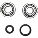 Kit Rodamientos y Retenes Cigueñal Prox Suzuki Rm 125 89-98.