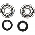 Kit Rodamientos y Retenes Cigueñal Prox Yamaha Yz 125 80-85.