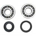 Kit Rodamientos y Retenes Cigueñal Prox Yamaha Yz 125 86-96.