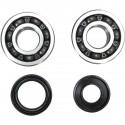 Kit Rodamientos y Retenes Cigueñal Prox Yamaha Yz 125 02-04.