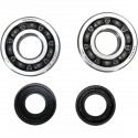 Kit Rodamientos y Retenes Cigueñal Prox Yamaha Yz 125 05-17.
