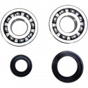 Kit Rodamientos y Retenes Cigueñal Prox Yamaha Yz 250 1998.