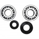 Kit Rodamientos y Retenes Cigueñal Prox Yamaha Yz 250 01-17.