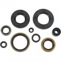 Kit Retenes de Aceite Motor Moose Racing Kawasaki Kx 250 88-89.
