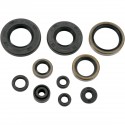 Kit Retenes de Aceite Motor Moose Racing Kawasaki Kx 250 05-07.