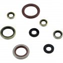 Kit Retenes de Aceite Motor Moose Racing Ktm Sx-f 350 11-12.