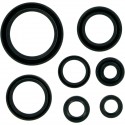 Kit Retenes de Aceite Motor Moose Racing Suzuki Rm 250 96-02.