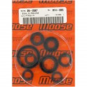 Kit Retenes de Aceite Motor Moose Racing Yamaha Yzf/Wrf 250 01-13.