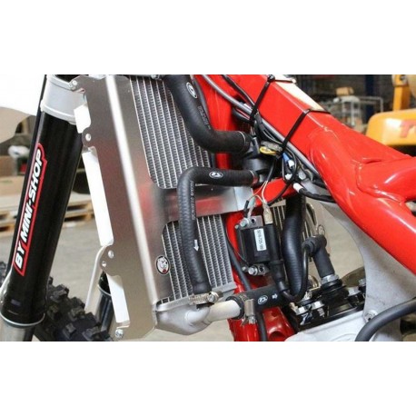 Protector de Radiador Axp Beta RR 125/200 18-19 Aluminio.