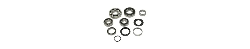 Kit Rodamientos Caja de Cambios