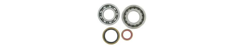 Kit Rodamientos Cigüeñal