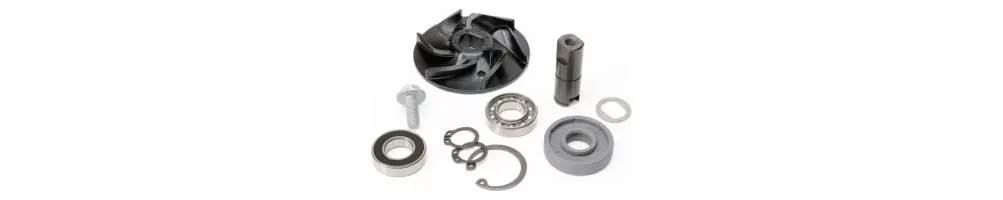Kit Reparación Bomba de Agua